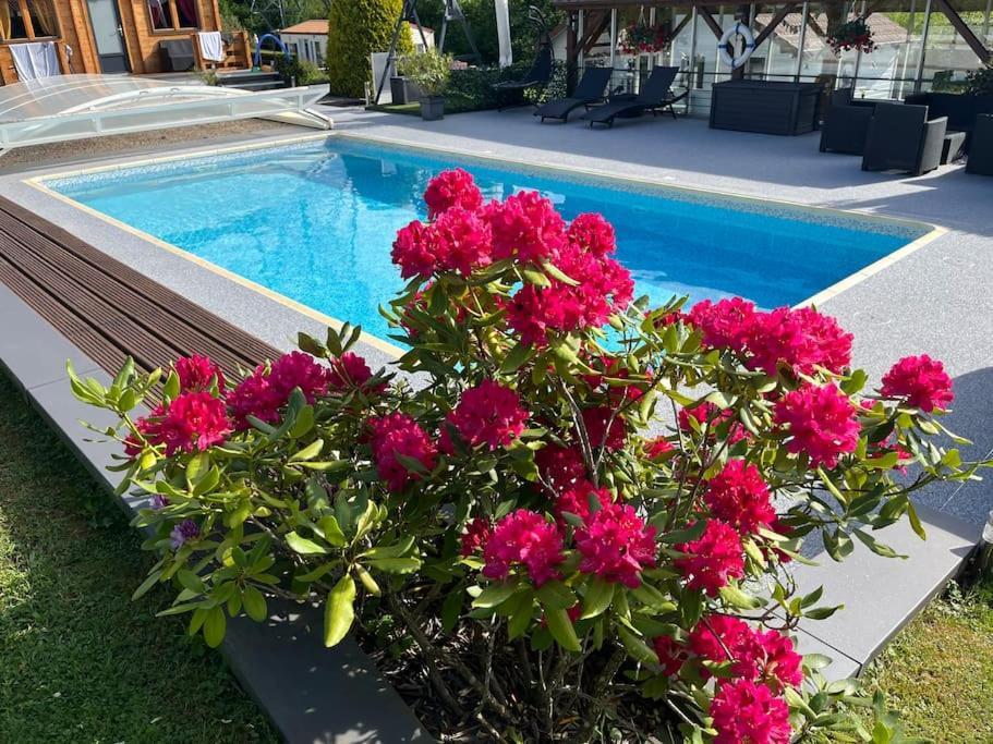 Corcieux Chalet 2 Personnes Avec Jacuzzi Et Piscine Saisonniere Partagee מראה חיצוני תמונה